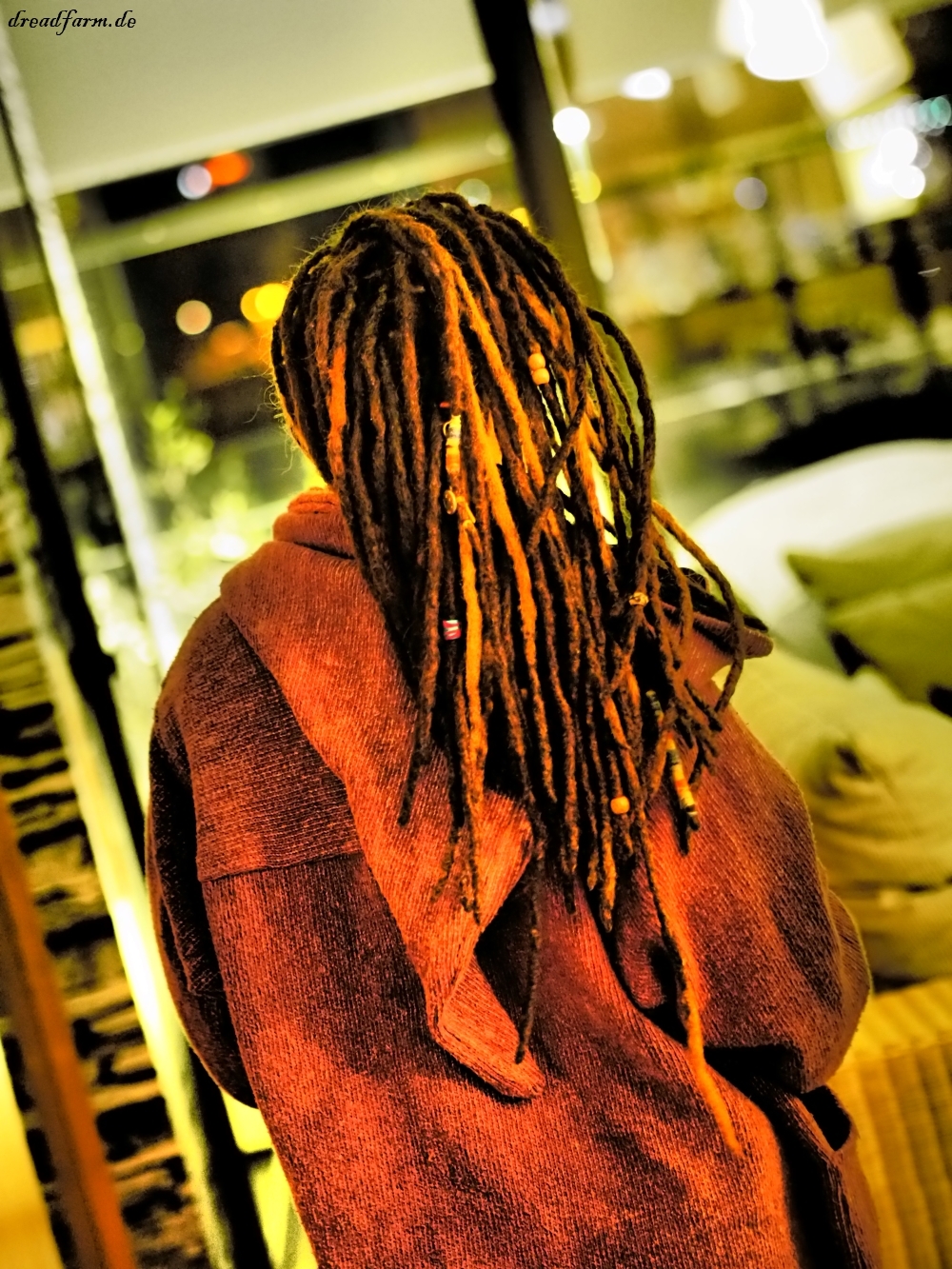 girl with dreadlocks from behind, hdr dreadlocks, dreadpflege, dreadlocks reparieren, fix dreadlocks, dread maintenance,